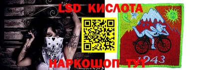 стафф Бийск