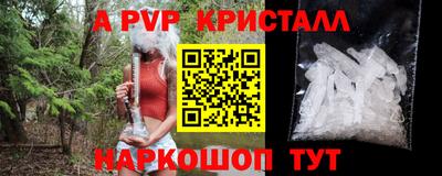 стафф Бийск