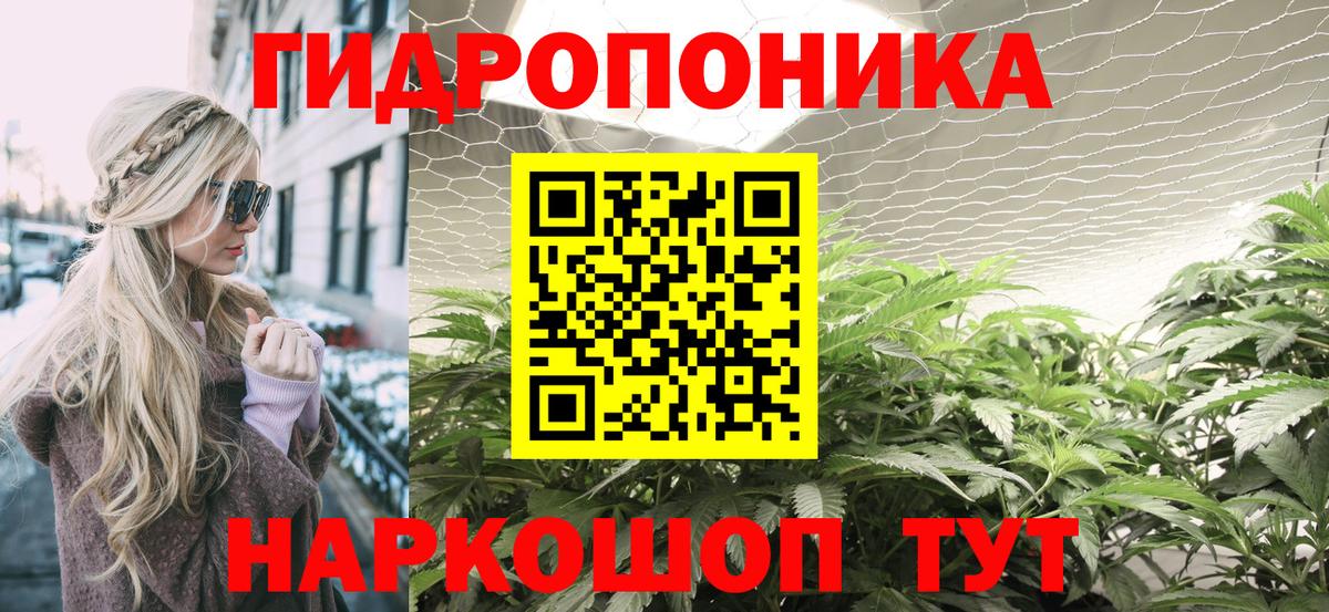 Каннабис сатива Артёмовский